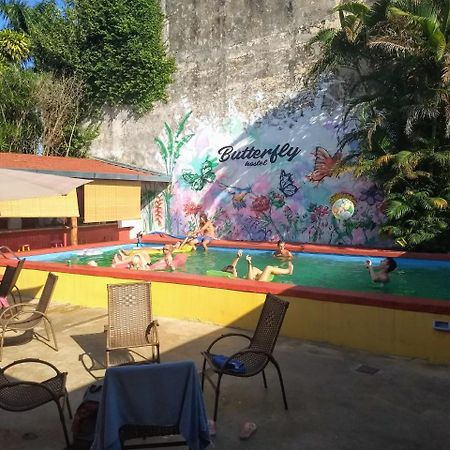 Butterfly Hostel Puerto Iguazú Zewnętrze zdjęcie