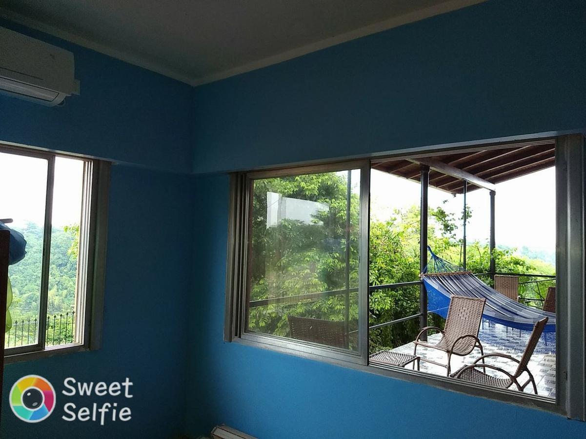 Butterfly Hostel Puerto Iguazú Zewnętrze zdjęcie
