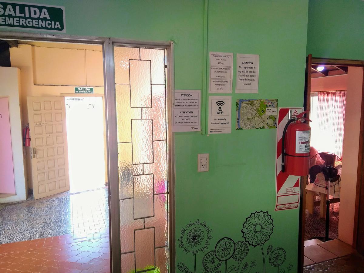 Butterfly Hostel Puerto Iguazú Zewnętrze zdjęcie