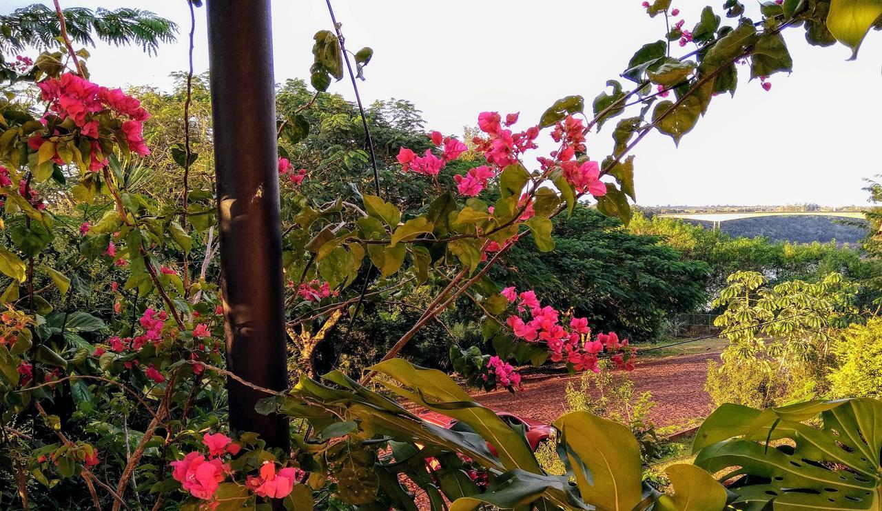 Butterfly Hostel Puerto Iguazú Zewnętrze zdjęcie