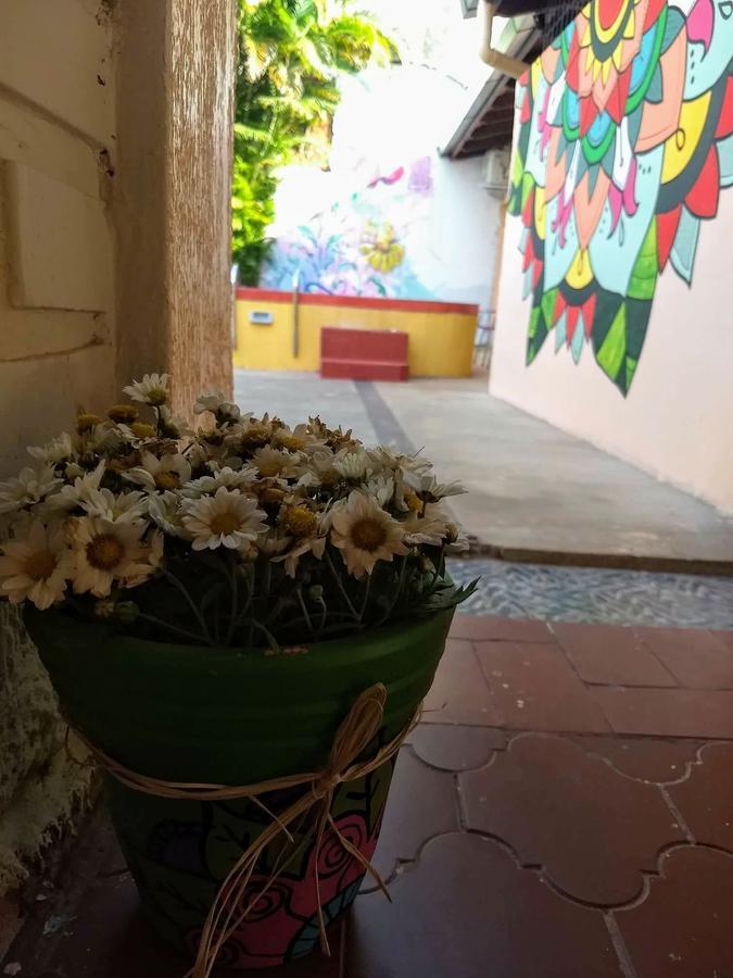 Butterfly Hostel Puerto Iguazú Zewnętrze zdjęcie